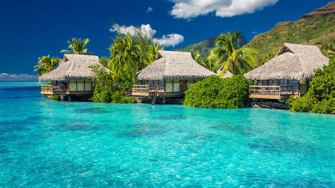 overwater bungalows in philippines|The Best Overwater Bungalows in the Philippines 2023.